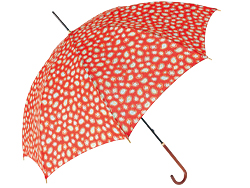 ［かさ工房］（ワカオ ￥8,925）