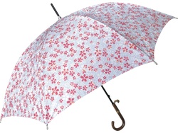  [肥谷井角右衛門/ カネイ/14,040円]